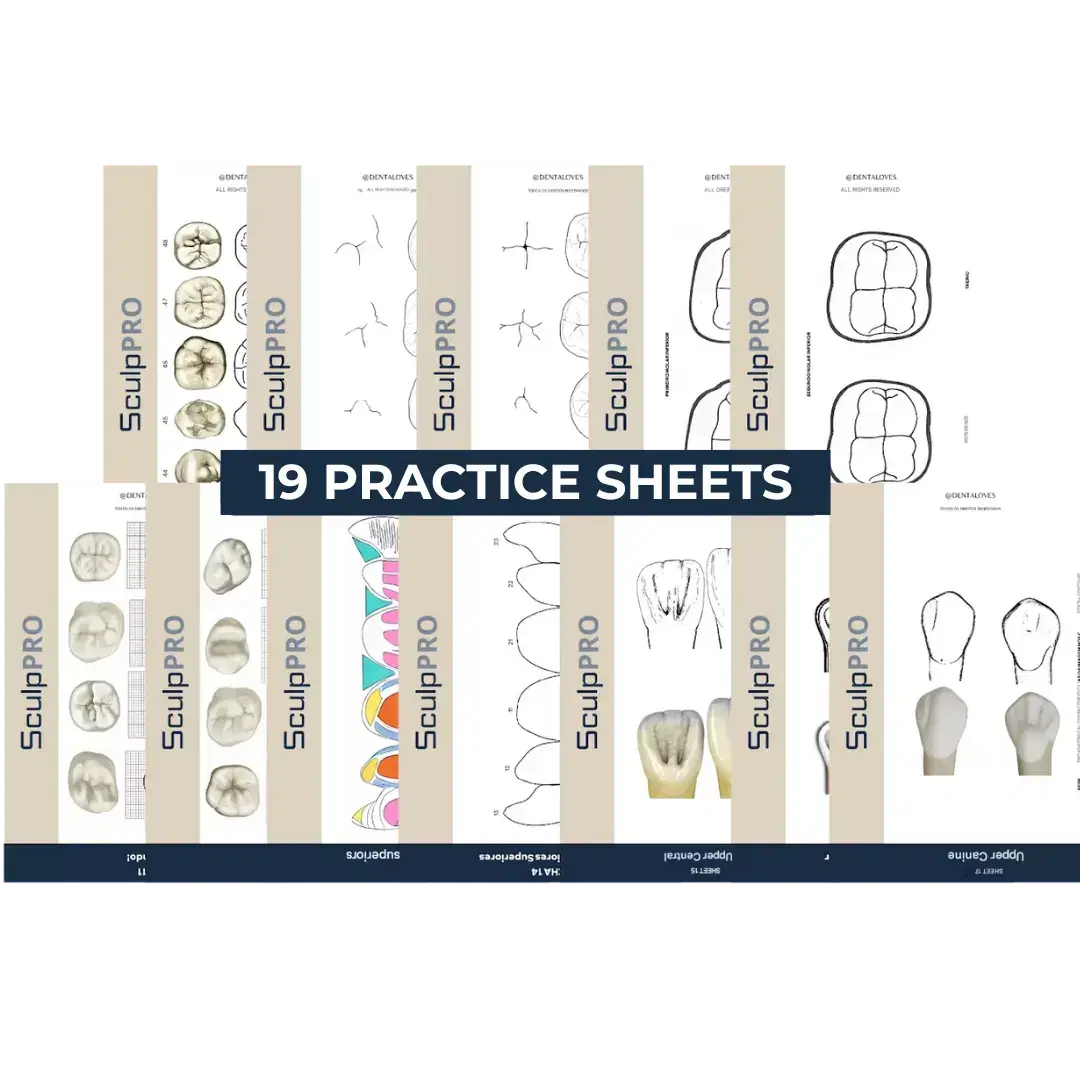 Sculpt Master printable practice sheets bundle